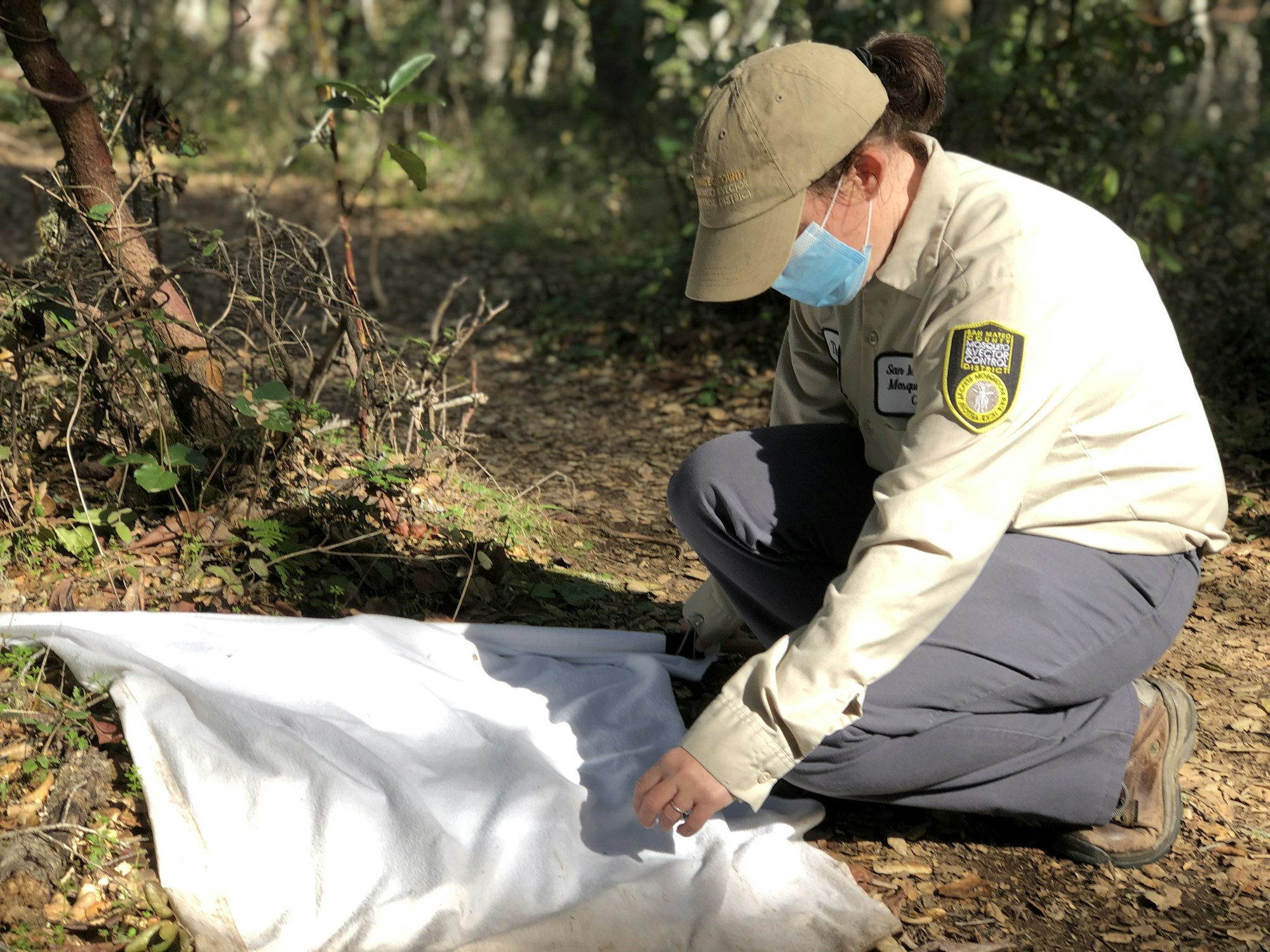 Person in brown and grey uniform kneeling next to a white cloth on the ground while looking at the cloth