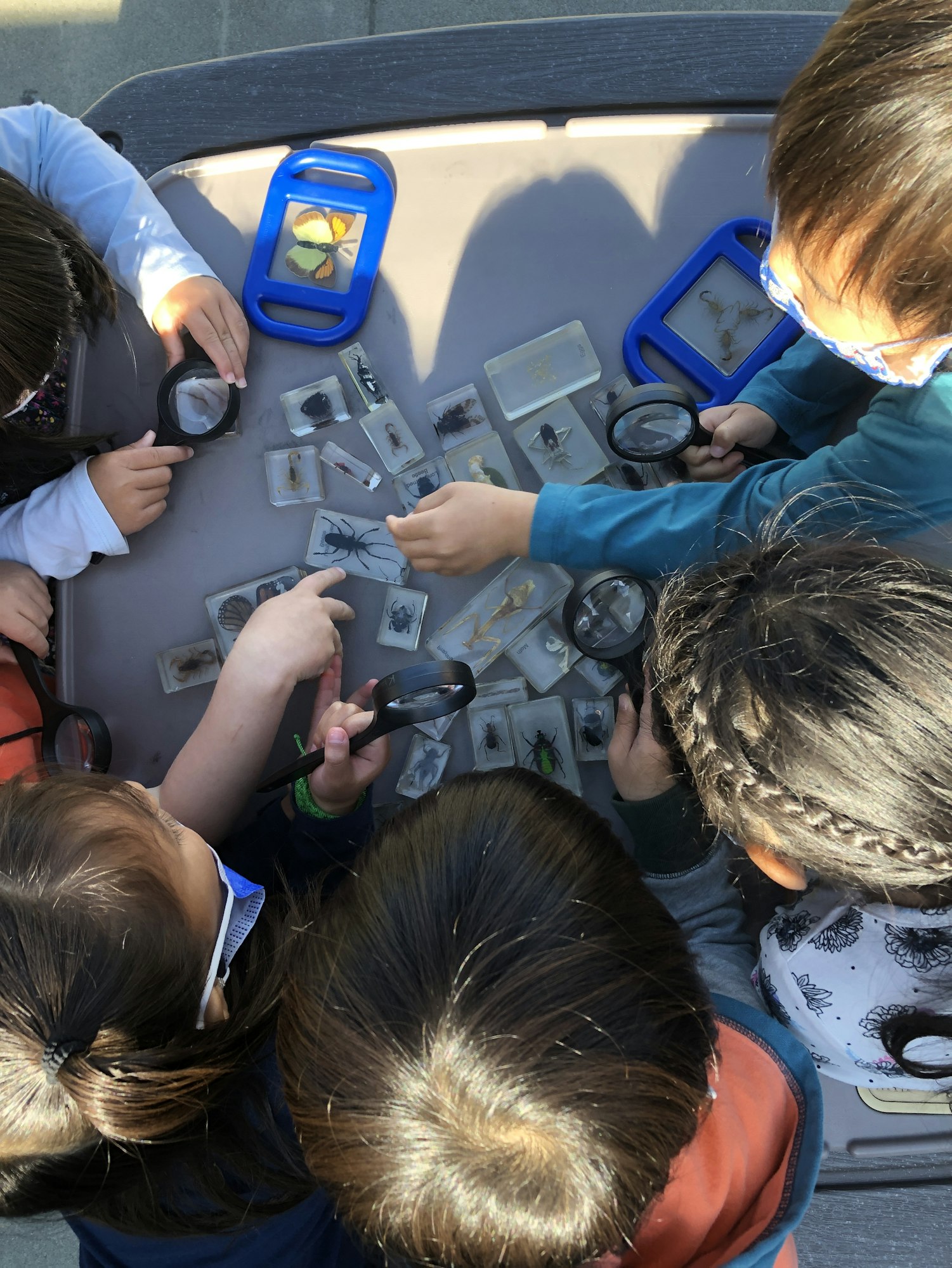 View from above of several children around a table that is covered in resin-embedded insects