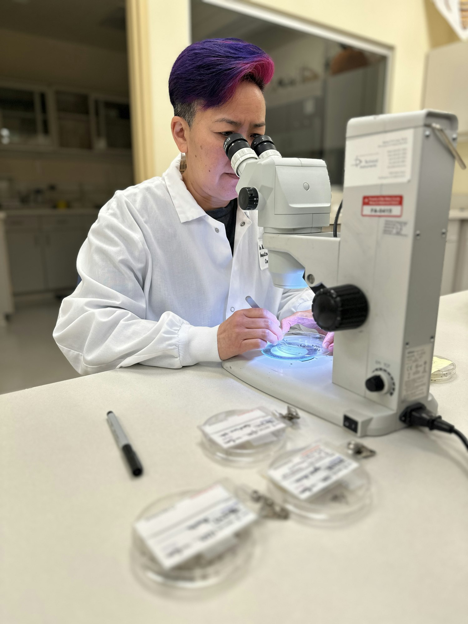 A person examines samples under a microscope in a lab, surrounded by petri dishes and a pen on the table.