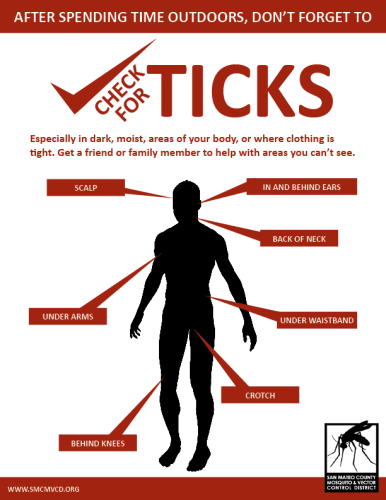 Poster with the silhouette of a person's body, with arrows pointing to all the areas you should be sure to check for ticks: scalp, behind ears, back of neck, armpits, belly button, groin, and behind knees.