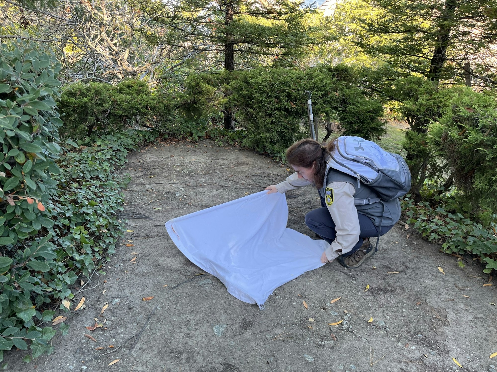 Photograph of a person squatting on the ground in the forest while looking closely at a white sheet of cloth.