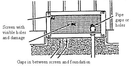 Line drawing of a vent screen with a tear in it, a gap between the screen and the foundation, and a gap around a pipe entering the screen.  All ways that rodents can get in a house.