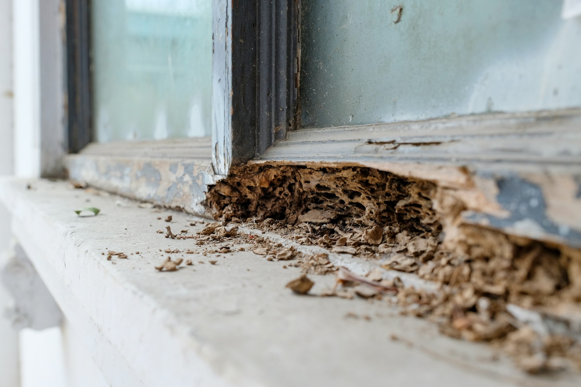 The lower portion of an outdoor window and ledge, with severe termite damage of the wood window frame.