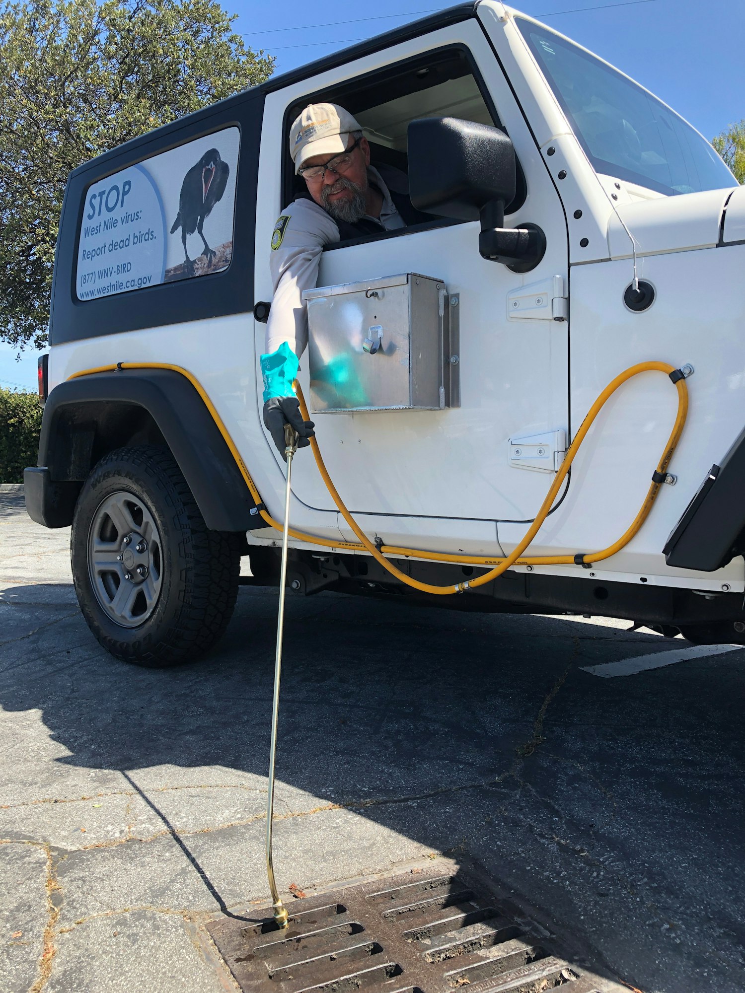 Person with hat, protective eyewear, and gloves, leaning out the right side of a white Jeep.  The person is holding a long 'wand' used to treat a catch basin.  The side window of the Jeep has a picture of a black bird and some text about reporting dead birds to the California West Nile virus dead bird hotline.