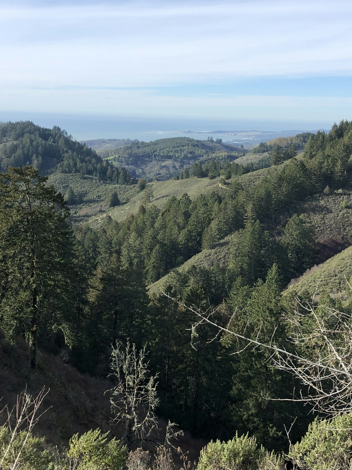 A scenic view of rolling hills covered in dense green forest under a partly cloudy sky, with a distant ocean visible on the horizon.