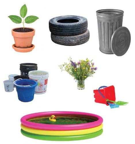 Image showing variety of items that can hold water - a plant pot with a saucer underneath, a stack of tires, an open metal trash can, assorted pails, a flower vase with flowers and water, a sand bucket toy, and a kiddie pool.
