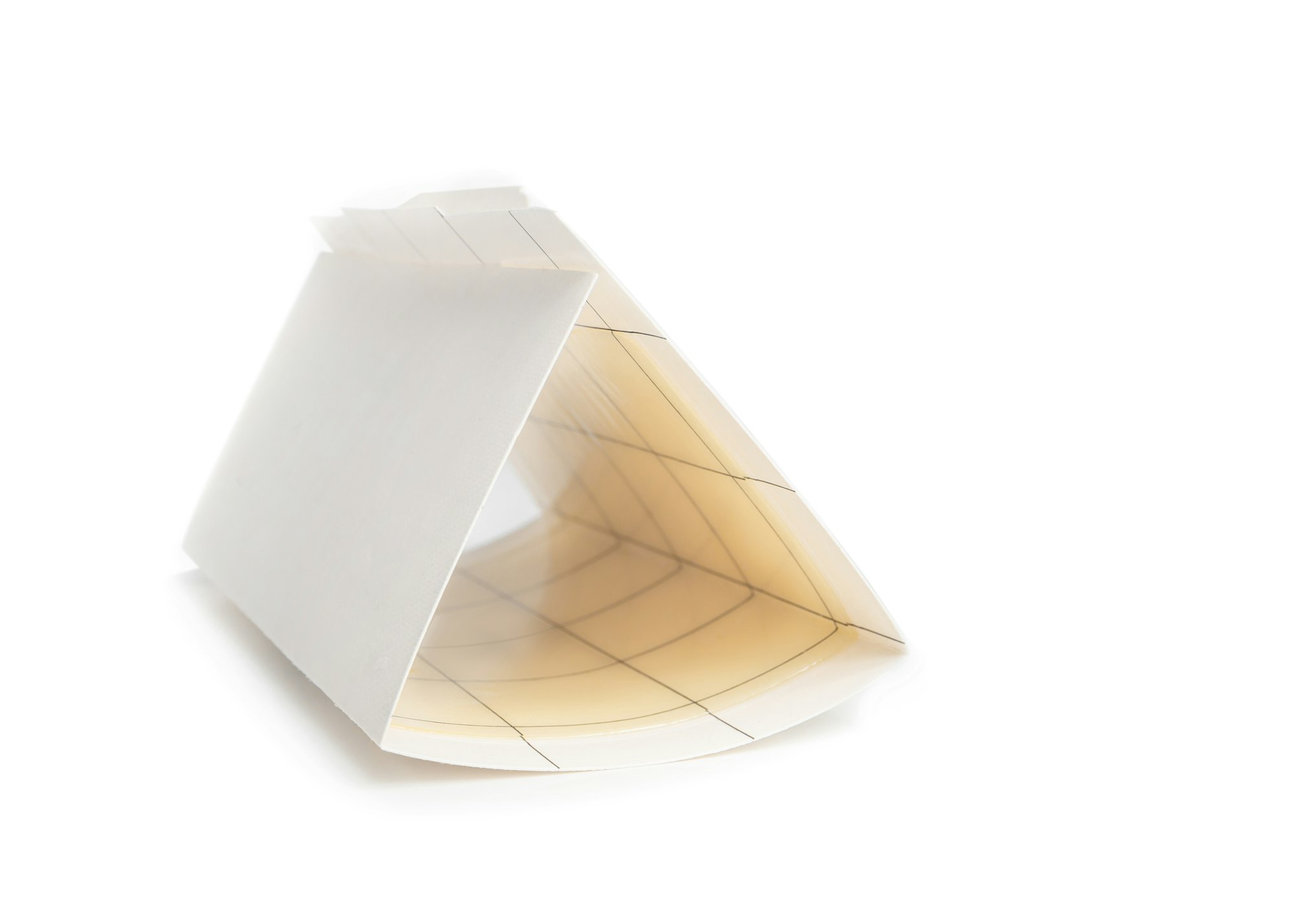 A folded white sticky trap (which is like a thick piece of paper that is sticky on one side), folded like a triangular prism. Nothing is stuck in the trap.