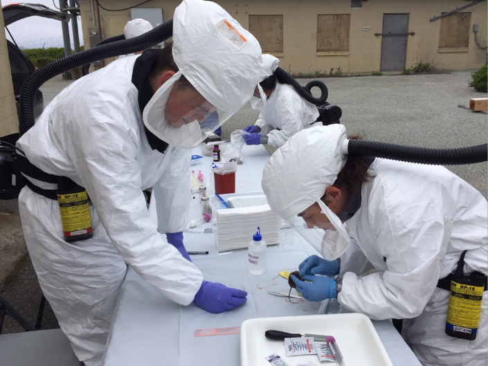 Three people in white Tyvek suits are around a table covered in white plastic. One person holds a small brown mouse while the other person looks on.