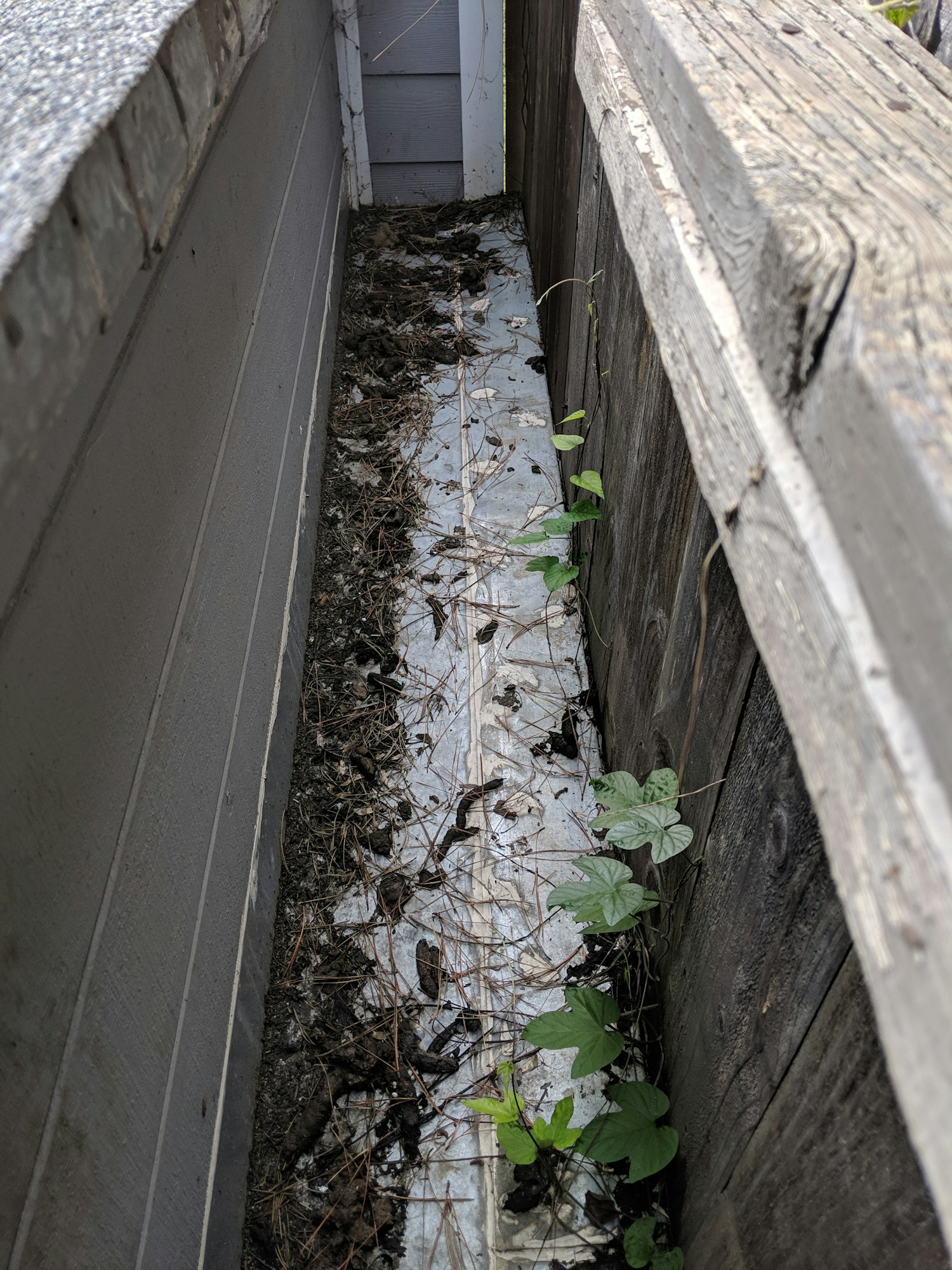 A long recessed area surrounded on all sides by walls - some wooden and some metal. The bottom of the area is metal and is covered with raccoon feces.