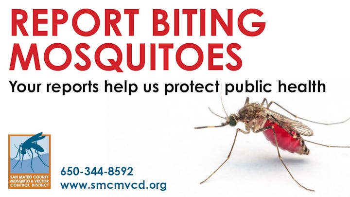 Photograph of a mosquito full of blood.  Text reads "report biting mosquitoes. your reports help us protect public health. 650-344-8592 www.smcmvcd.org"