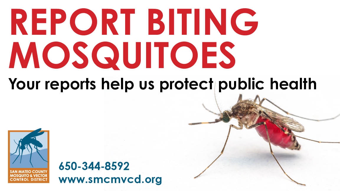 Photograph of a mosquito full of blood.  Text reads "report biting mosquitoes. your reports help us protect public health. 650-344-8592 www.smcmvcd.org"