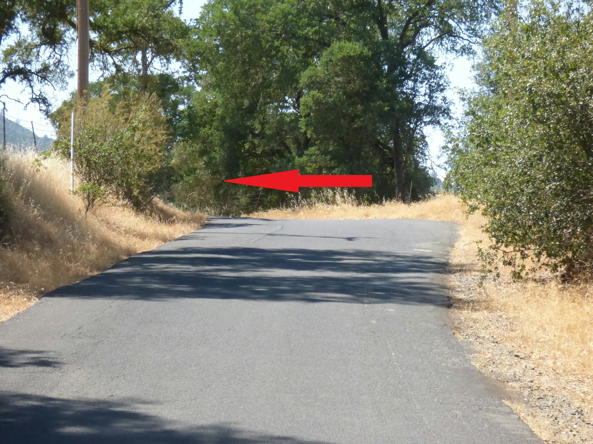 May contain: road, tarmac, asphalt, gravel, and dirt road