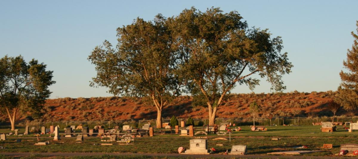A peaceful cemetery with headstones, flowers, and trees during sunset.