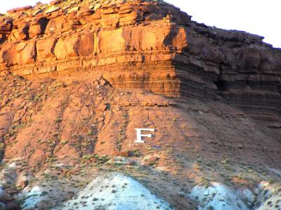 A cliff with a large letter 'F' painted on it, bathed in warm sunlight.