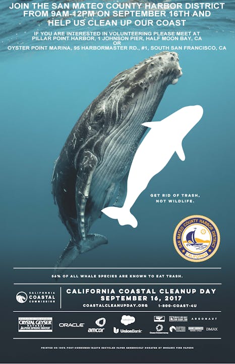 May contain: animal, sea life, and mammal