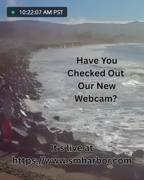 The image promotes a new live webcam at a harbor, inviting viewers to check it out online.