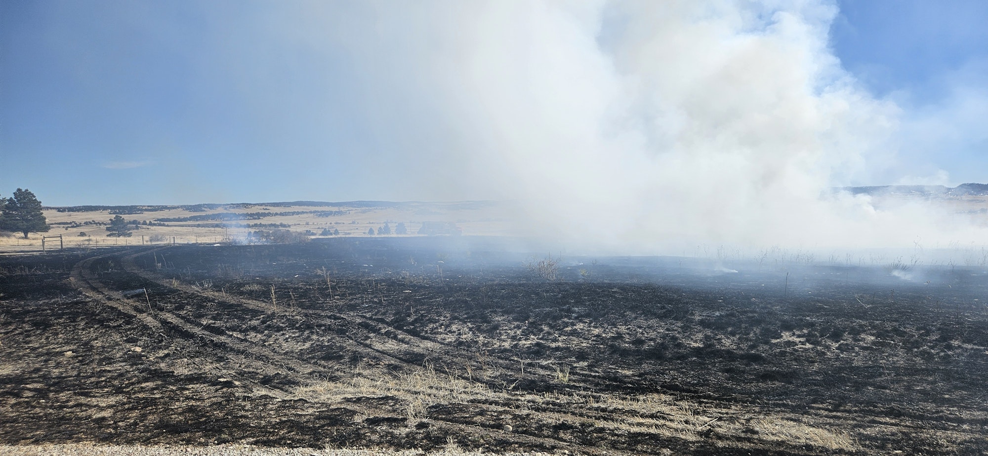 Scorched earth and smoke, aftermath of a landscape fire, with trees and clear blue sky in the background.