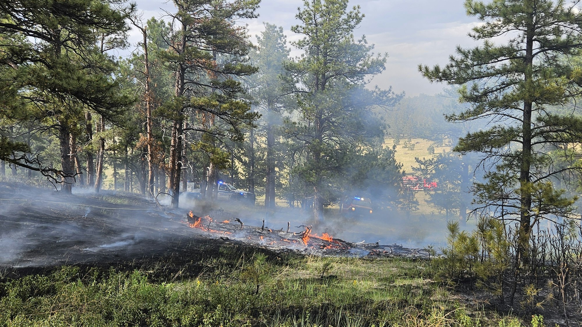 A forest fire with smoke, burning debris, and police vehicles in the background.