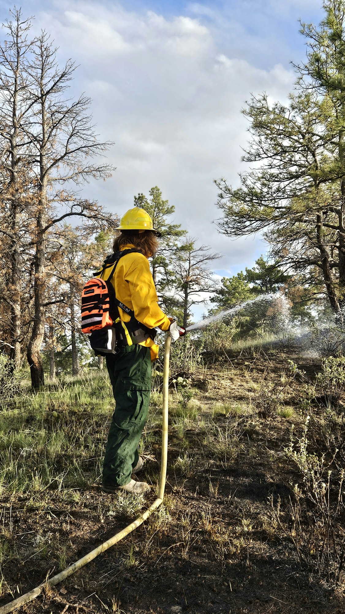 A firefighter spraying water in a forest.