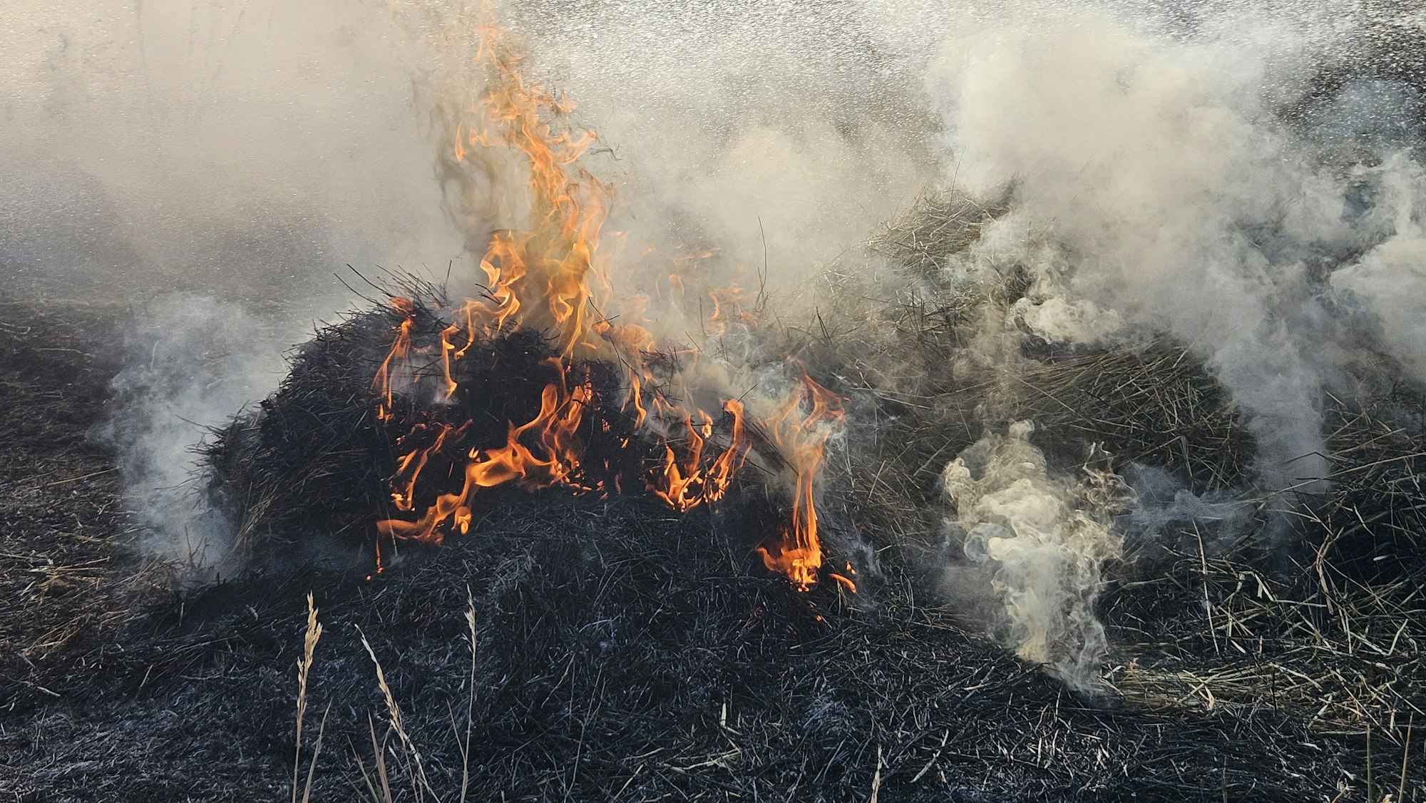 A fire burning through dry grass, producing flames and smoke.