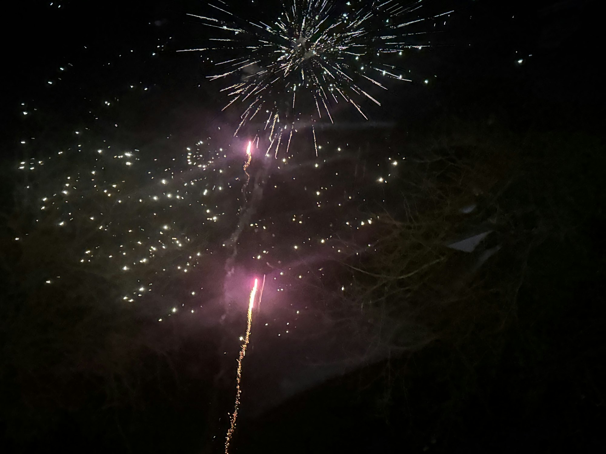 Fireworks burst in the night sky with bright sparks and trails.