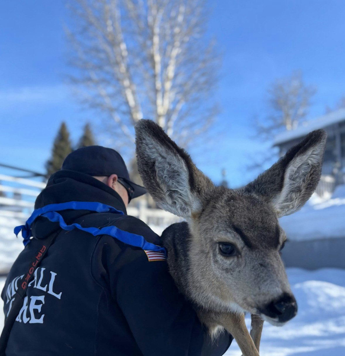 A person in a dark jacket holds a young deer in a snowy outdoor setting.