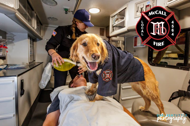 May contain: person, animal, canine, dog, mammal, pet, accessories, bag, and handbag