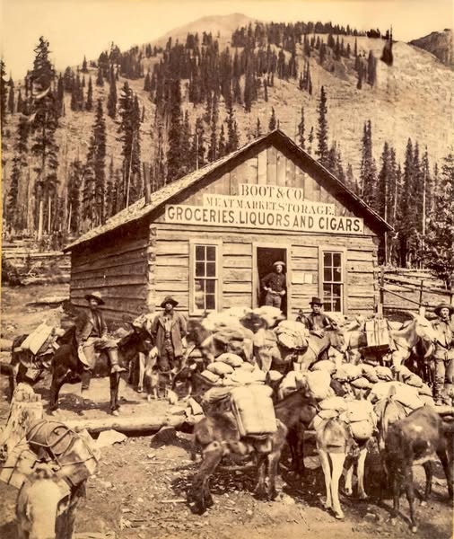Toll house at Henson Creek and Uncompaghre Toll Road. Photograph by T.E. Barnhouse