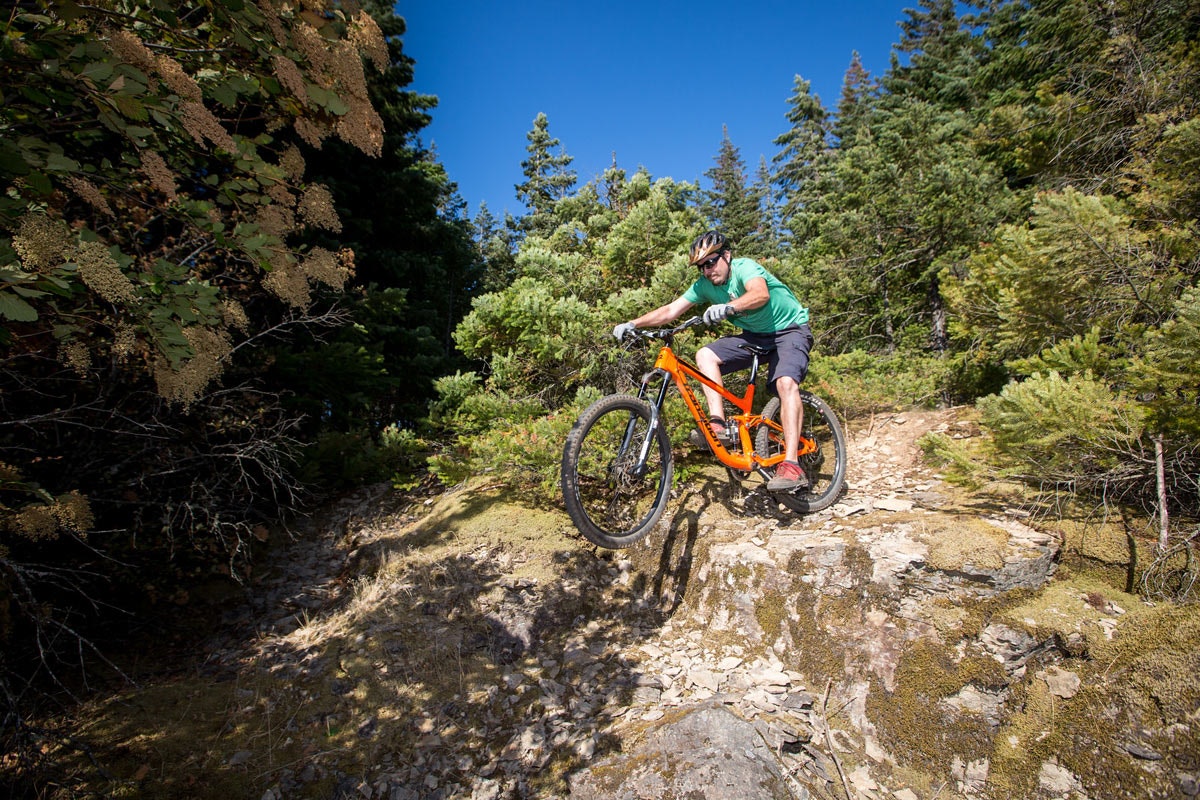 May contain: slope, plant, vegetation, tree, nature, outdoors, wilderness, bicycle, transportation, vehicle, machine, wheel, person, helmet, land, and woodland