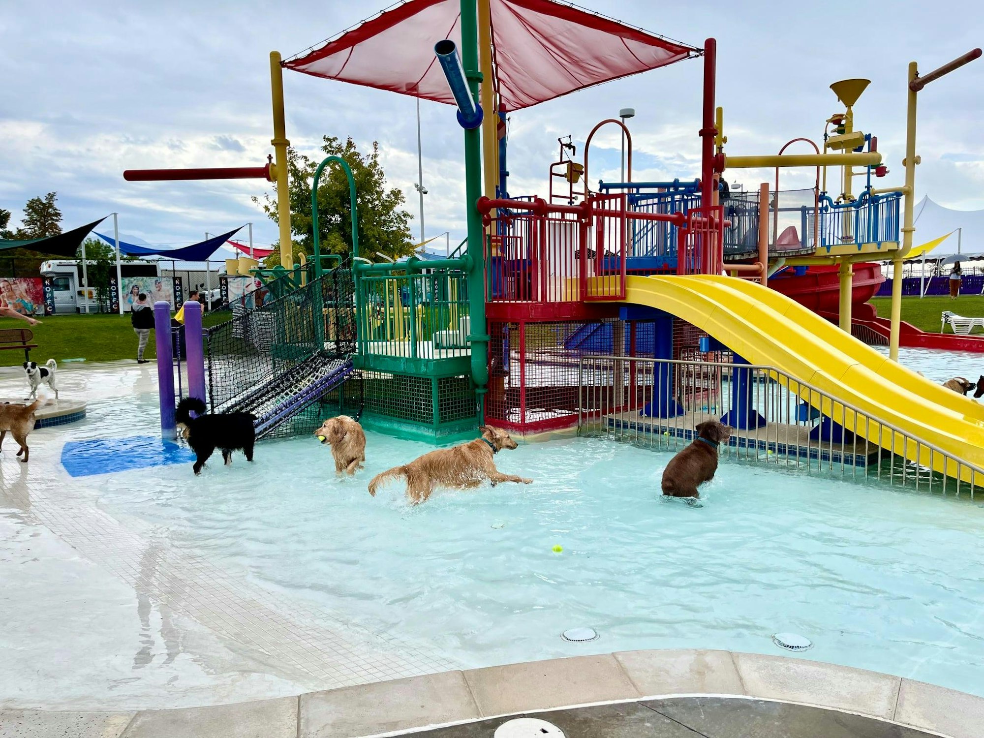 Dogs enjoying a splash in a water park with colorful playground equipment.