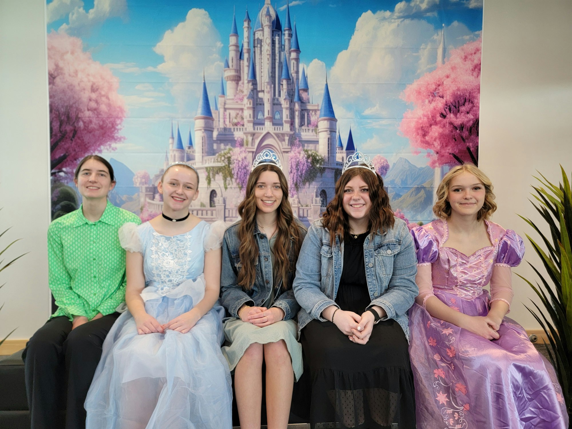 Five people in costume, seated with a fairy tale castle backdrop.