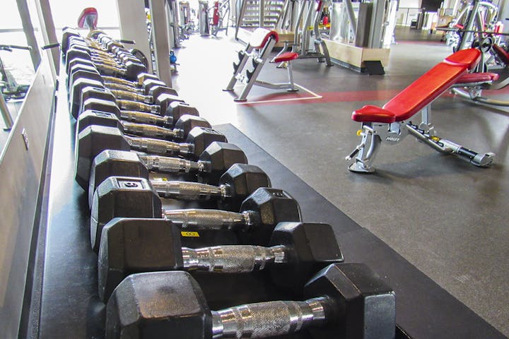 A row of dumbbells on a rack in a gym with exercise benches in the background.