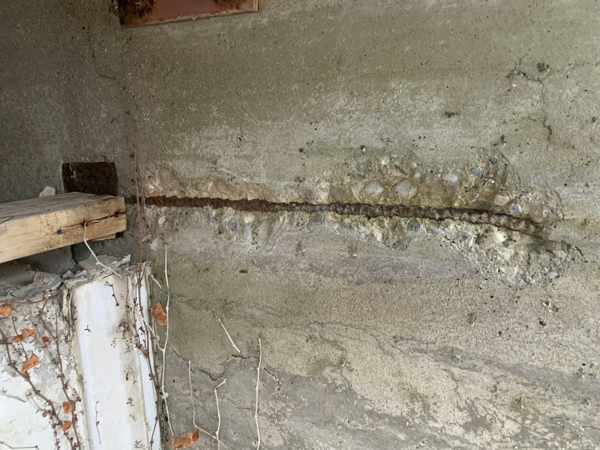 A concrete wall with a horizontal crack exposing rusted rebar, surrounded by wooden planks and dried vines.