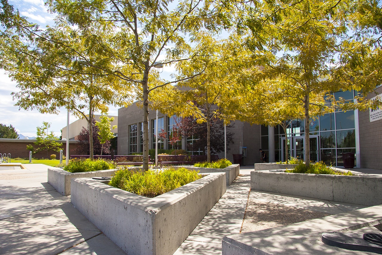 Sunny day at a modern building with trees, benches, and concrete planters.