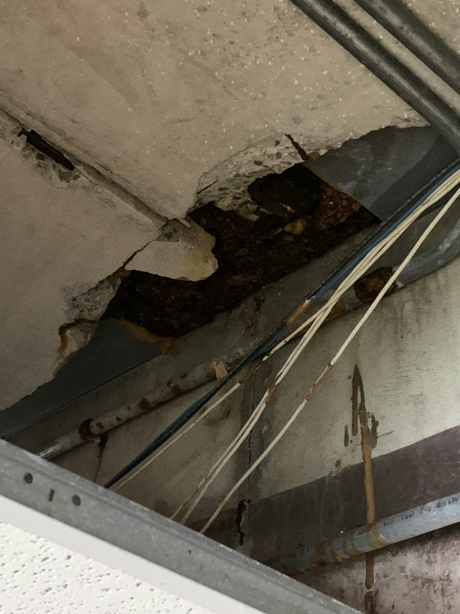 A damaged ceiling with exposed wires and pipes, showing some concrete debris.