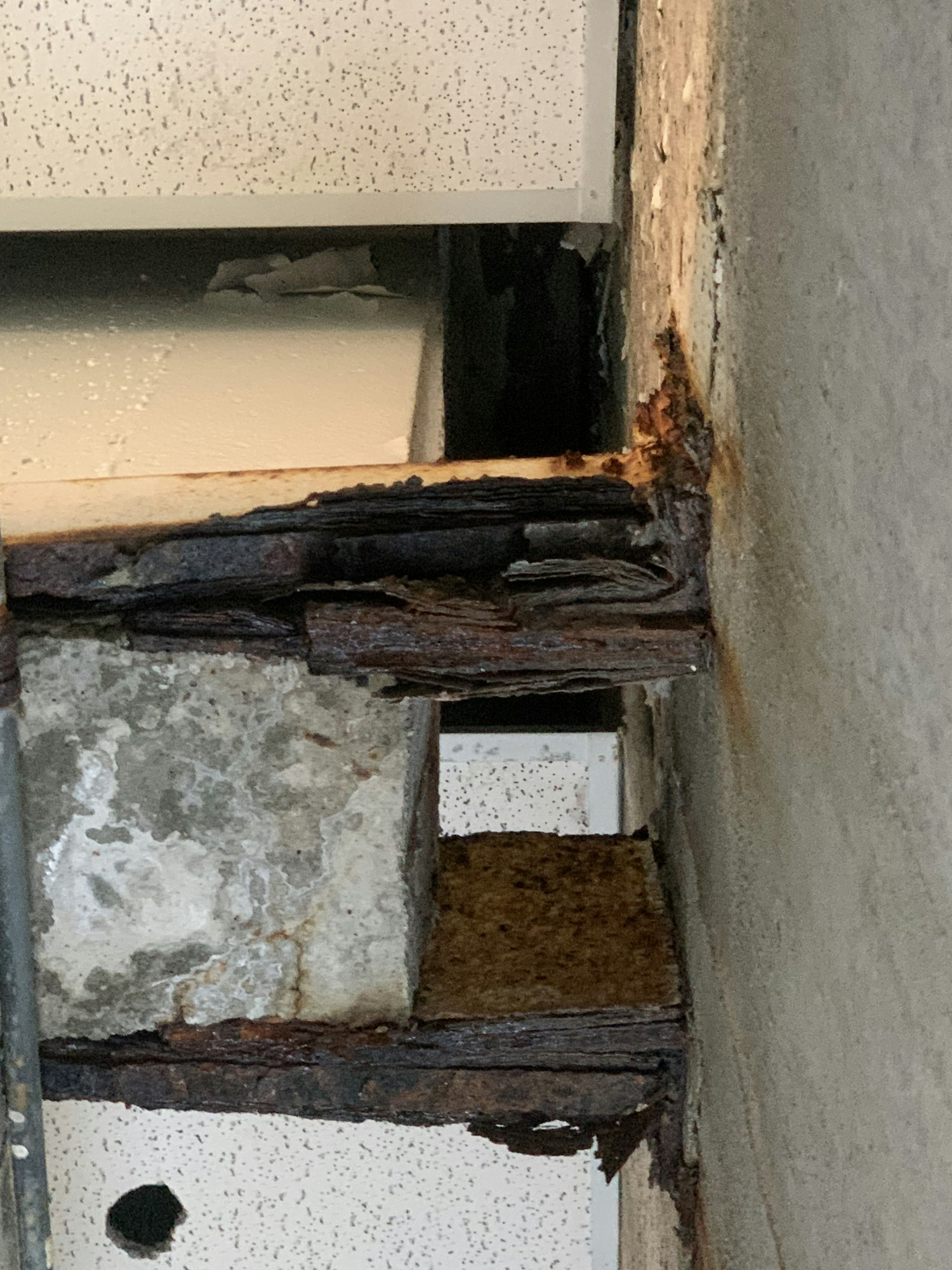 Rusted, damaged steel framework in a ceiling or concrete support beam.
