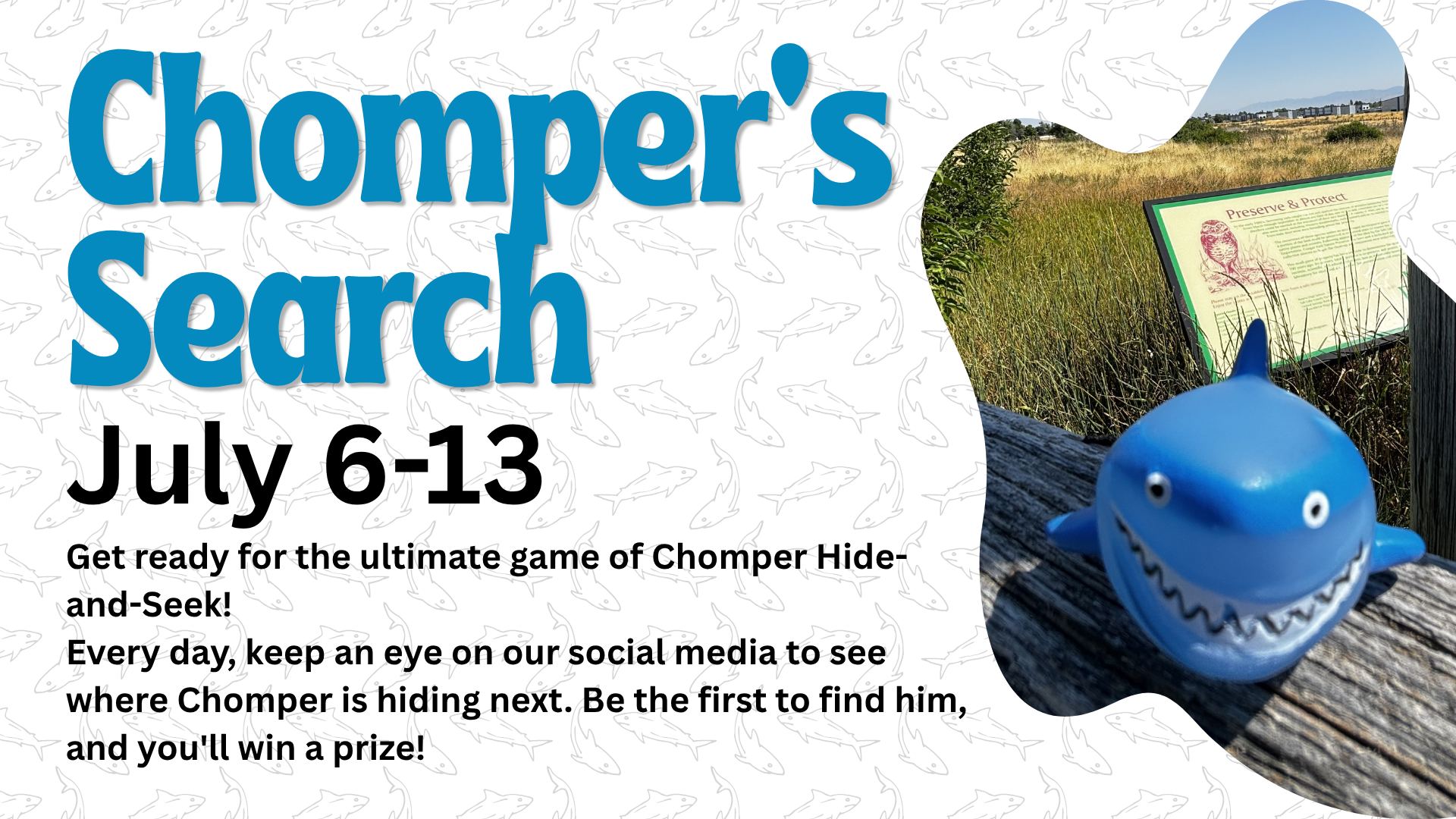 Join Chomper's Search from July 6-13! Find Chomper daily on social media for a chance to win a prize in this hide-and-seek game!