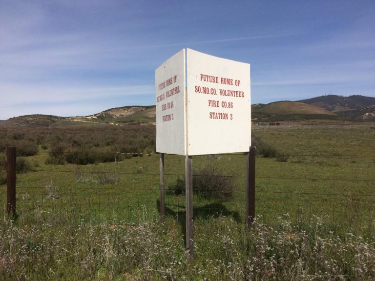 May contain: grass, plant, outdoors, nature, and field