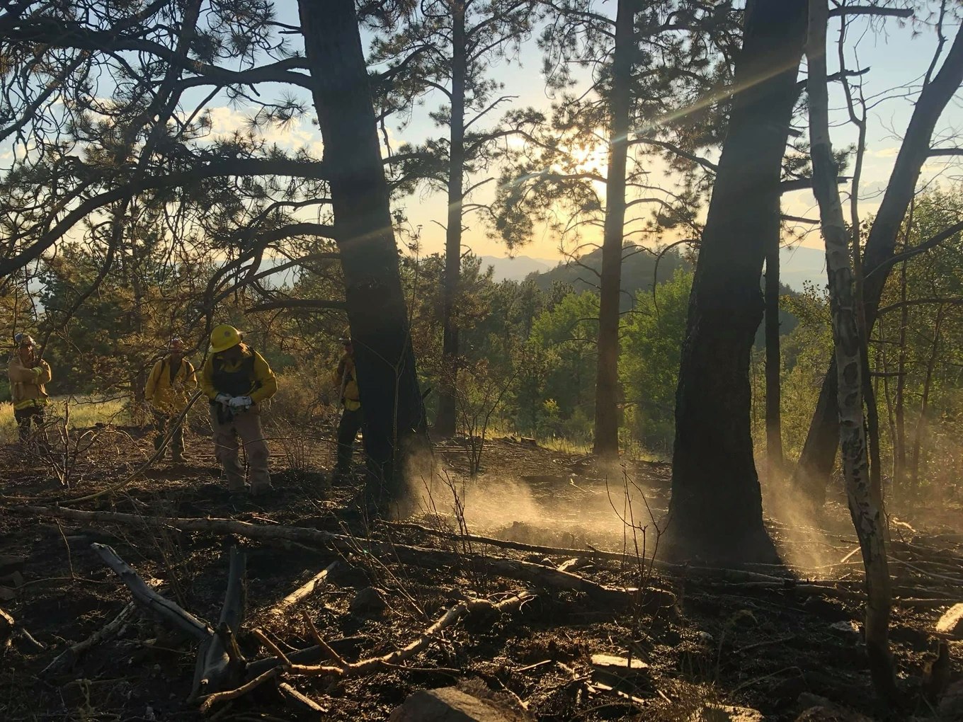May contain: Trees and smoke