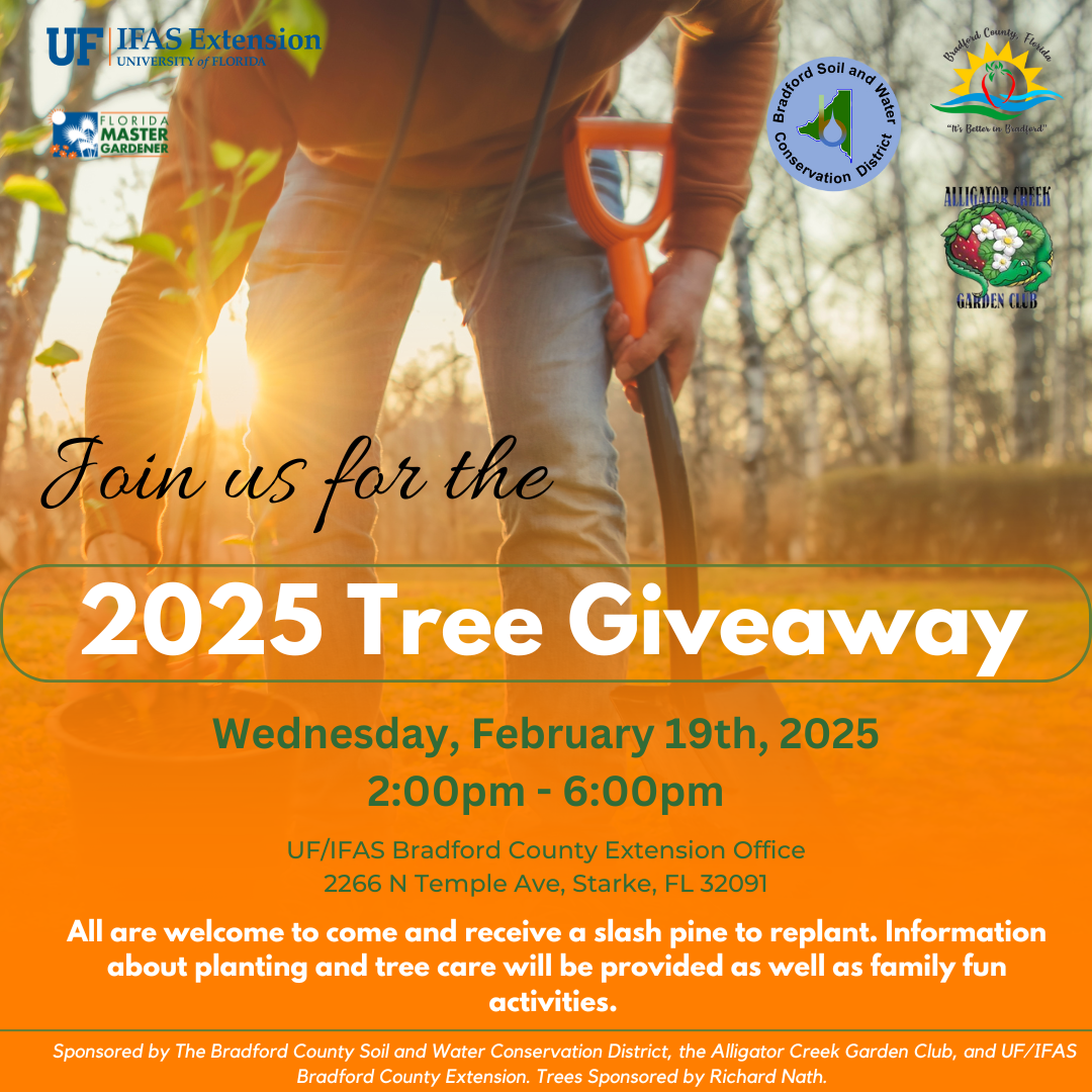 Join the 2025 Tree Giveaway on Feb 19th, 2-6 PM at UF/IFAS, 2266 N Temple Ave, Starke, FL. Free slash pine trees and activities!