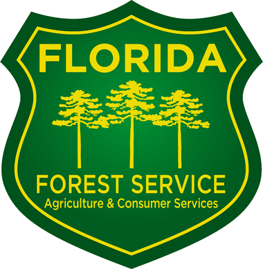 Florida Forest Service logo with trees and text for Agriculture & Consumer Services.