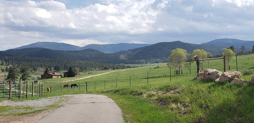 Countryside landscape with mountains, a few horses in a fenced field, a cabin, trees, and a gravel path under a cloudy sky.