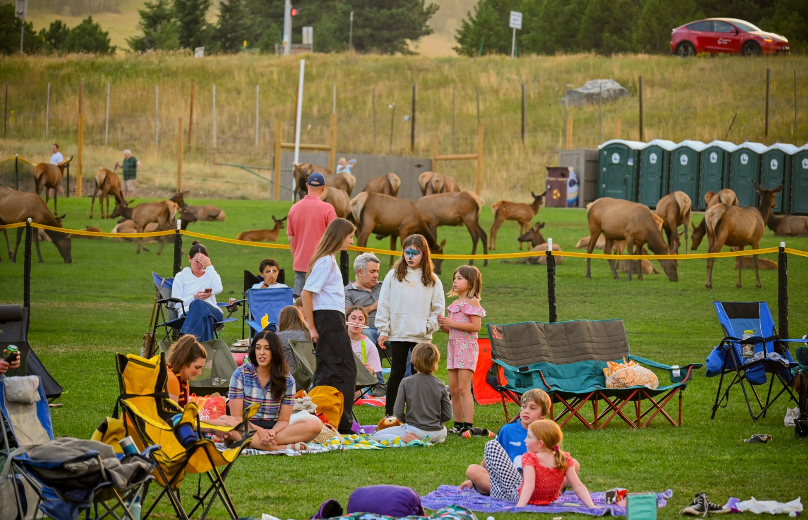 Groups of people relaxing outdoors with picnic gear, surrounded by elk and portable toilets in the background.