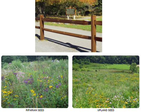 Pathway with a wooden fence and sign; below, two images labeled "Riparian Seed" and "Upland Seed" show wildflower fields.