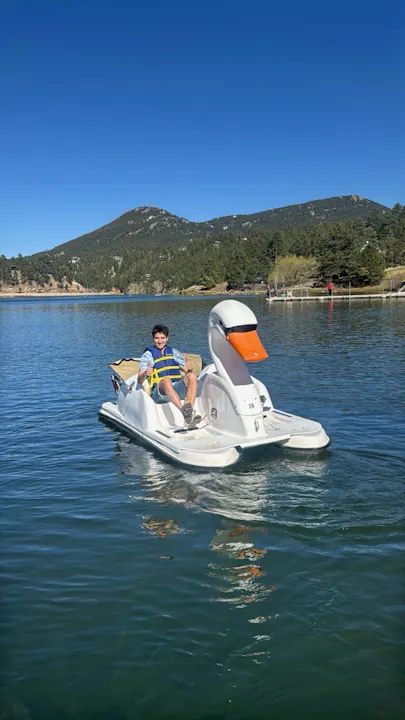 A person enjoys a ride on a paddle boat shaped like a swan, surrounded by water and mountains under a clear blue sky.
