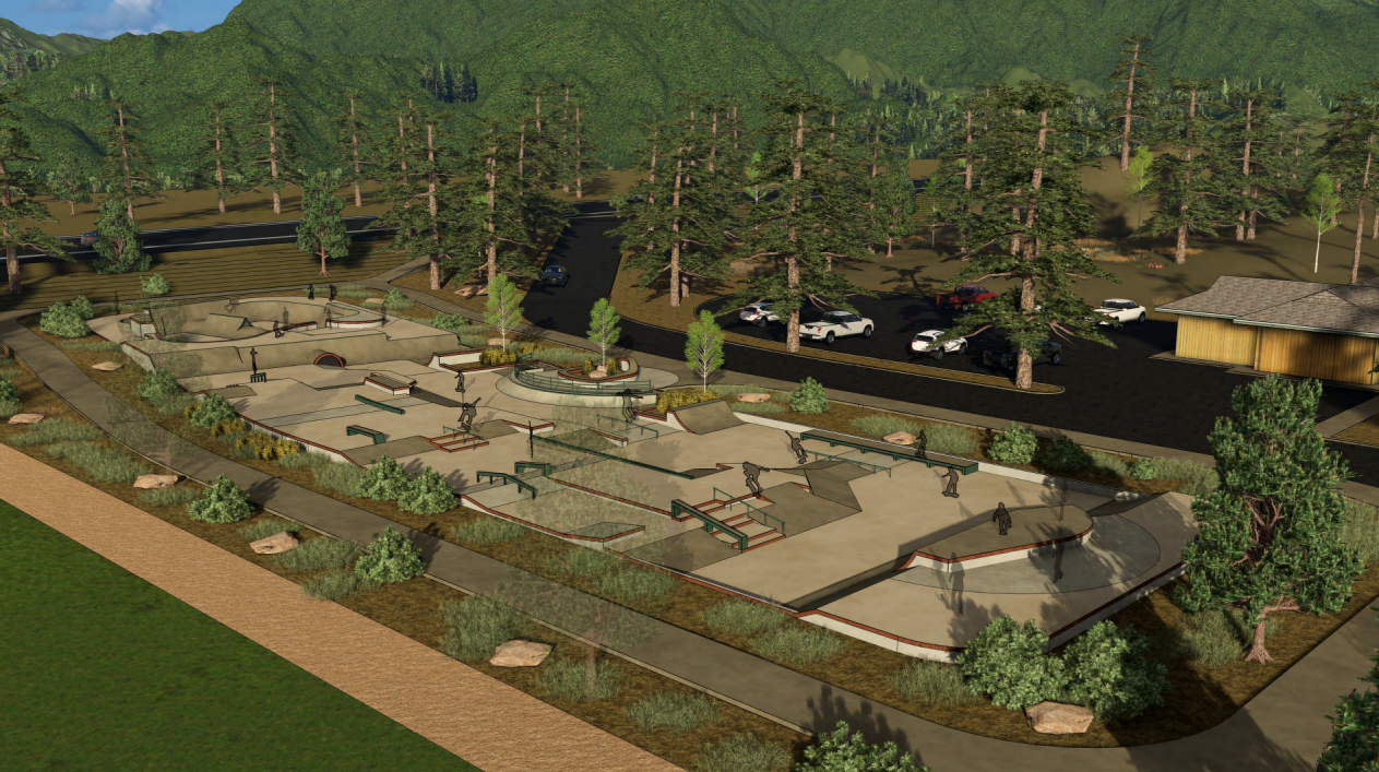 A skatepark with ramps and rails, surrounded by trees and parking area.