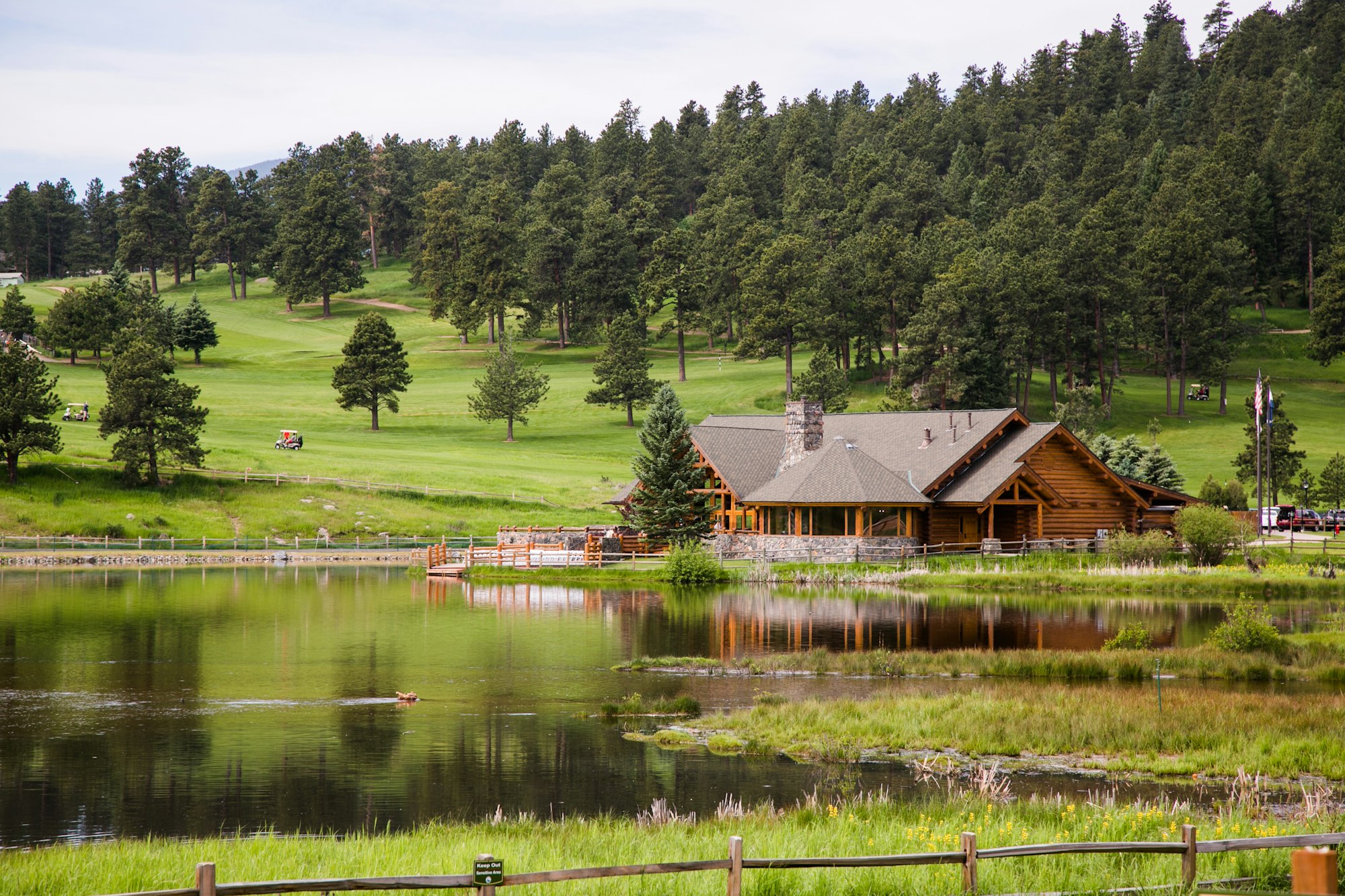 A lakeside log cabin in a lush, green landscape with trees, a golf cart, and a duck in the water.