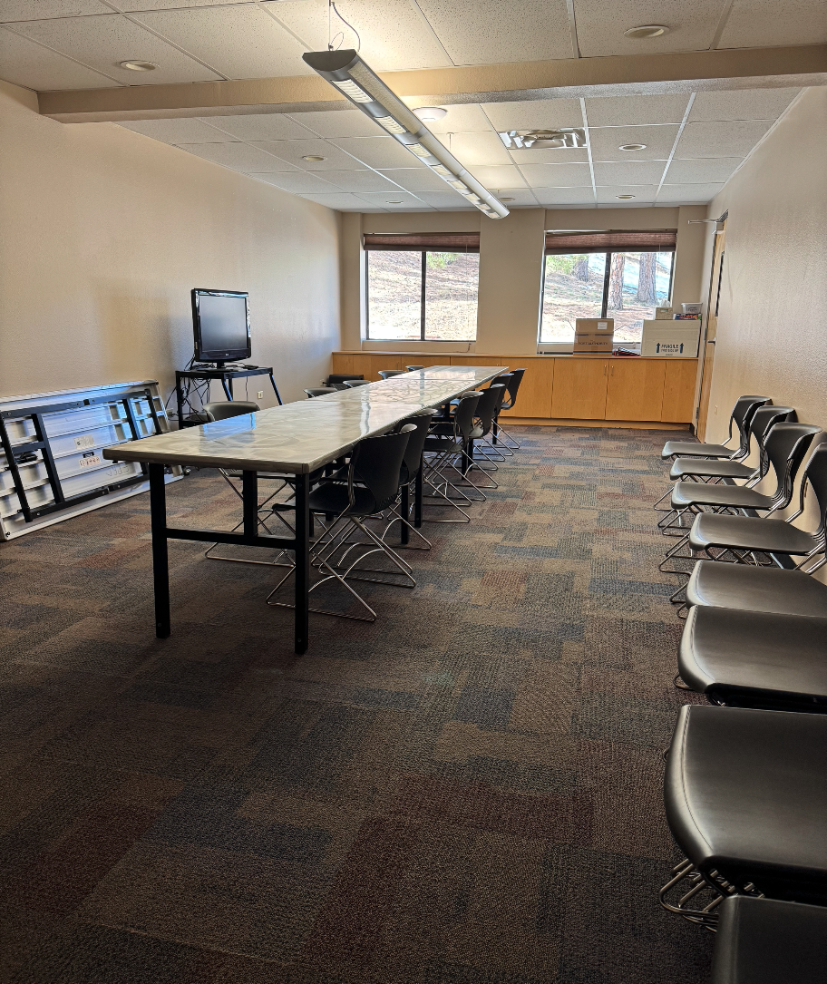 A conference room with a long table, black chairs, a TV, and large windows.