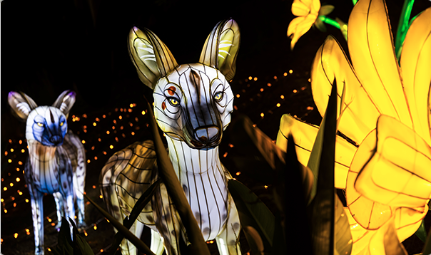 Illuminated animal sculptures with zebra-like patterns and large yellow flowers, set against a dark background with light dots.