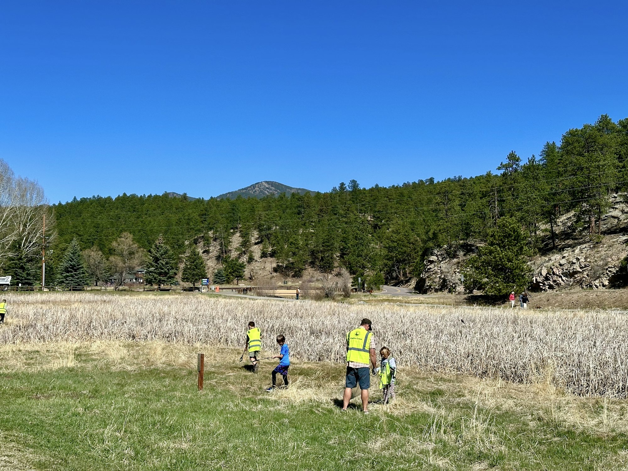 A sunny outdoor scene with children and adults exploring a grassy area, wearing reflective vests, near trees and mountains.
